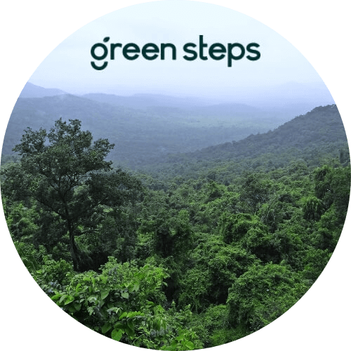 Green Steps + Fuluxe - Sustainability Collaboration