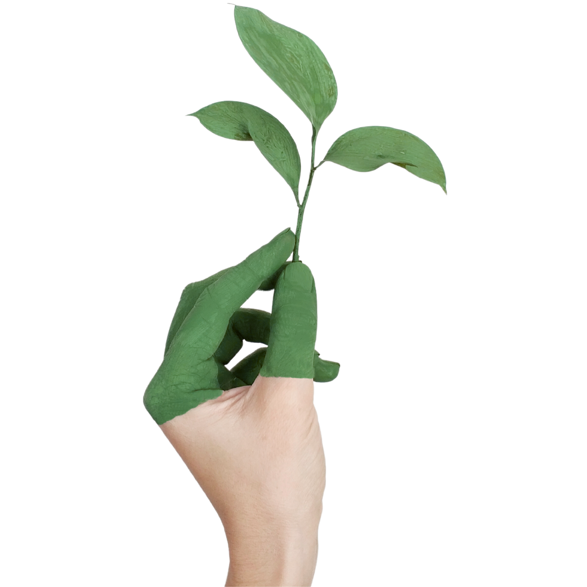 A finger holding a seedling, showing personal responsibility to sustainability - Packing Green has diverted 491kg of plastic waste
